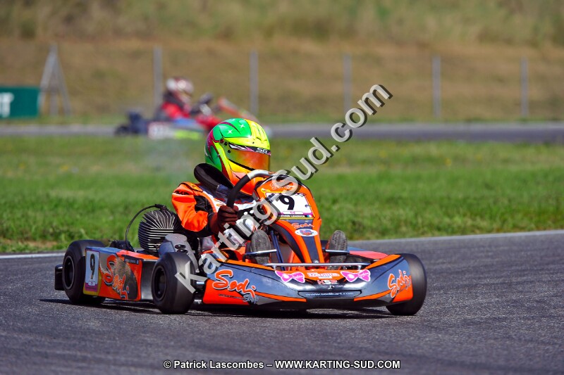 DSC_ (1301).jpg